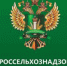 47 документов на продукты из будущего аннулированы в Нижегородской области - ИА Нижний сейчас