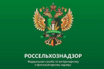 47 документов на продукты из будущего аннулированы в Нижегородской области