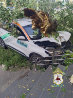 Пьяный водитель каршерингового авто насмерть сбил нижегородца