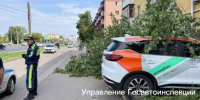 Водитель каршеринга сбил пешехода и врезается в дом на проспекте Ленина - НИА Нижний Новгород