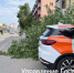 Опубликовано видео смертельного наезда на пешехода на проспекте Ленина - НИА Нижний Новгород