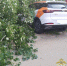Пьяный водитель каршеринга сбил насмерть пешехода в Нижнем Новгороде - Комсомольская Правда