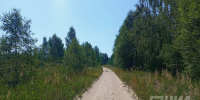 Леса нельзя посещать почти в 15 районах Нижегородской области - НИА Нижний Новгород