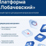 После обновления платформы «Лобачевский подать обращение о проблеме стало ещё быстрее и удобнее - Газета День города. Нижний Новгород