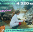Производство молока и яиц растет в Нижегородской области - Newsroom24.Ru