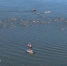 Пловец из Москвы скончался во время заплыва на "X-WATERS Volga" в Нижнем Новгороде - ProGorodNN.Ru
