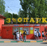 Нижегородцы не смогут увидеть трансляции из вольеров нижегородского зоопарка «Лимпопо» - Время Н
