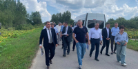 Депутаты ЗСНО предложили ряд решений по борьбе с борщевиком Сосновского - NewsNN.Ru
