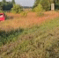 Семь пассажиров пострадали в аварии в Воротынском округе - Нижегородская правда
