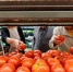 Где россиянам найти вкусные помидоры этим летом - NewsNN.Ru