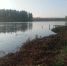 СК проверяет обстоятельства гибели мужчины в водоеме в Лукоянове - Комсомольская Правда
