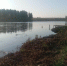 В городе Лукоянове Нижегородской области следователь СК проводит доследственную проверку по факту гибели мужчины в водоеме - СУ СК РФ