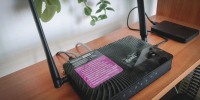 Нижегородцам рассказали, где появятся новые точки бесплатного Wi-Fi - NewsNN.Ru
