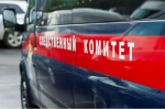 Бастрыкину доложат о расследовании смерти ребенка в нижегородской больнице