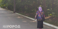 Нижегородские пенсионерки за день лишились больше двух миллионов, поговорив по телефону - ProGorodNN.Ru