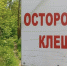 Свыше 8,9 тыс. укусов клещей зарегистрировано в Татарстане - НТА-Приволжье