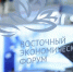 ВЭФ за 10 лет стал ключевым институтом развития Дальнего Востока - NewsNN.Ru