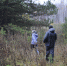 14-летнюю девочку четыре дня не могут найти в Нижегородской области - Комсомольская Правда