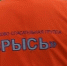 Волонтеры искали 187 пропавших человек в Нижегородской области в июле - Сетевое издание Живем в Нижнем