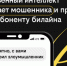 Искусственный интеллект распознает мошенника при звонке абоненту Билайна - НТА-Приволжье