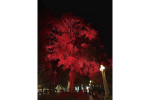 Пресс-служба администрации Нижнего Новгорода