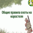Общие правила охоты на коростеля - Министерство лесного хозяйства