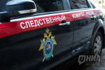 Бастрыкину доложат о гибели мужчины после избиения подростками на Автозаводе