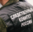 СК рассказал, кто ответит за жуткую гибель нижегородского ребенка - NewsNN.Ru