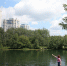 Всего шесть озер безопасны для купания в Нижнем Новгороде - Время Н
