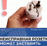 Ремонт без пожарных рискoв - МЧС Нижегородской области