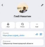 Нижегородский губернатор завел канал в мессенджере MAX - фото 1