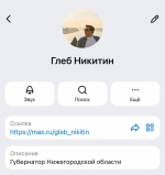 Губернатор Нижегородской области создал канал в мессенджере MAX