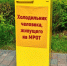Необычную акцию за повышение МРОТ до 50 000 рублей провели в Нижнем Новгороде - фото 3 - vGorodeN.Ru