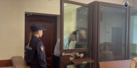 Подозреваемого в жестоком убийстве двух человек в Нижнем Новгороде арестовали - НИА Нижний Новгород