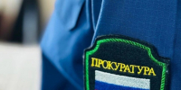 Прокуратура проконтролирует расследование нападения собаки на ребенка под Кстовом - Сетевое издание Живем в Нижнем