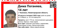 14-летний мальчик пропал в Нижегородской области  - фото 1 - vGorodeN.Ru