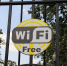 Общедоступный Wi-Fi подключили в нижегородских роддомах - Комсомольская Правда