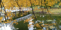 Синоптики предсказали затяжное бабье лето в Нижегородской области - фото 1 - vGorodeN.Ru