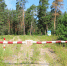 1,3 тысячи га леса восстановят в Нижегородской области - НИА Нижний Новгород