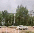 Автошкола превратила прибрежную зону Мещерского озера в нелегальный автодром - Сетевое издание Живем в Нижнем