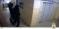 Полицейские задержали банду квартирных воров в Нижнем Новгороде - НИА Нижний Новгород