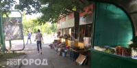 В Ленинском районе Нижнего Новгорода поймали 70 продавцов, которые торговали незаконной едой - ProGorodNN.Ru