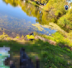 Уголовное дело возбуждено по факту гибели нижегородца в больничном озере