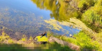 Проверка начата из-за гибели мужчины в нижегородском озере - фото 1 - vGorodeN.Ru