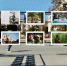 В Нижнем Новгороде открылась фотовыставка «КНДР: Мосты дружбы» - Нижегородская правда