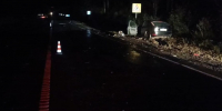 Два человека пострадали в ДТП с грузовиком в Нижегородской области - фото 1 - vGorodeN.Ru