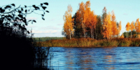 Опубликован прогноз погоды в Нижнем Новгороде на вторую половину сентября - фото 1 - vGorodeN.Ru