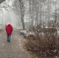 Снег ждите очень рано: синоптики назвали точную дату старта зимы - ProGorodNN.Ru