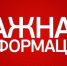 Ipsum - Федерация шахмат