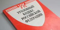 Нижегородке грозит до 5 лет колонии за кражу наушников - ИА Нижний сейчас